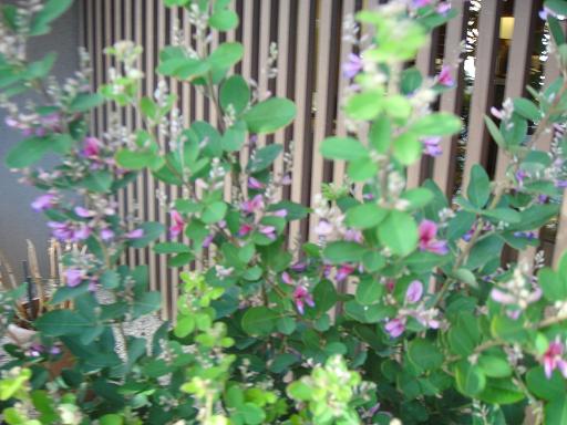 DSC00858.JPG