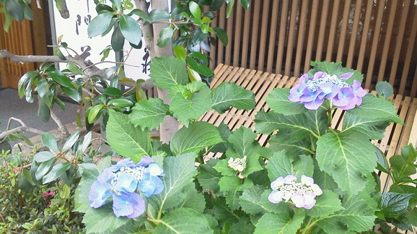 2011061414220001.jpg 2011061414220001.jpg