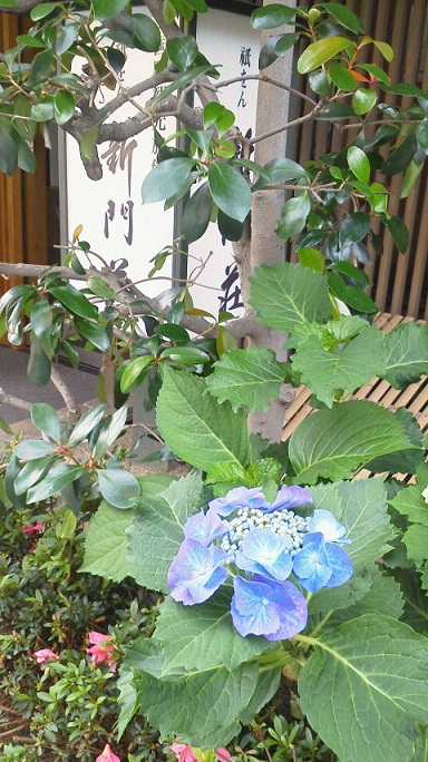 2011061414220000.jpg 2011061414220000.jpg