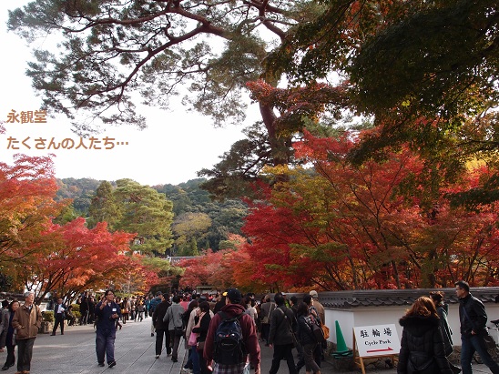 PB270152.jpg PB270152.jpg