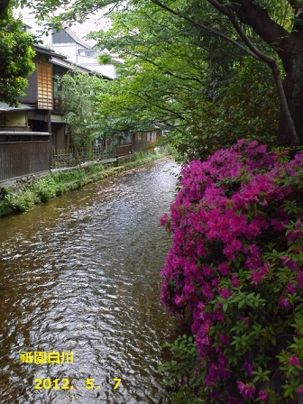 NEC_0003.JPG NEC_0003.JPG
