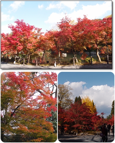 2012年 永観堂.jpg 2012年 永観堂.jpg