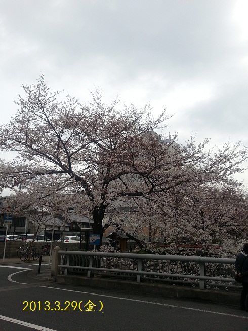 20130329_104304.jpg 20130329_104304.jpg