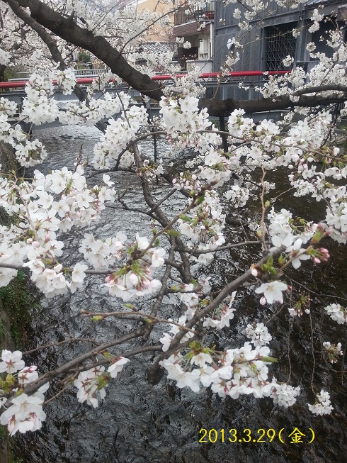 20130329_104248.jpg 20130329_104248.jpg