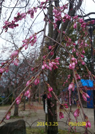 DSC_0105.JPG DSC_0105.JPG