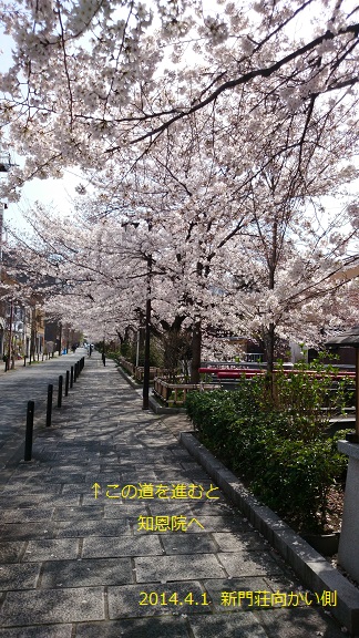 DSC_0216.JPG DSC_0216.JPG