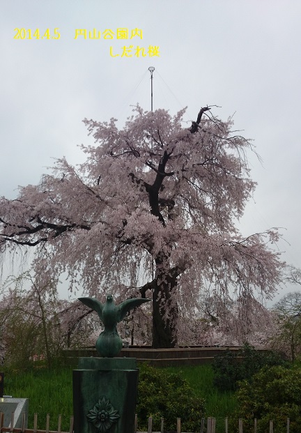 DSC_0246.JPG DSC_0246.JPG