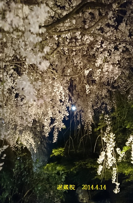DSC_0326.JPG DSC_0326.JPG