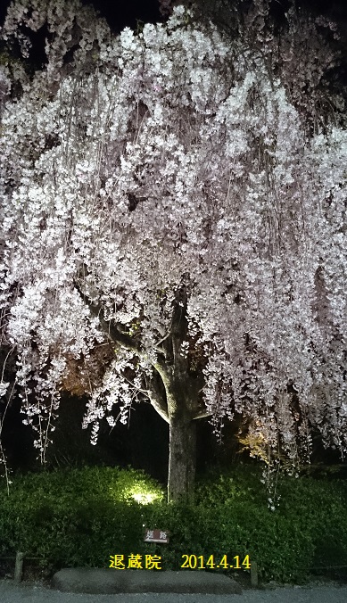 DSC_0339.JPG DSC_0339.JPG