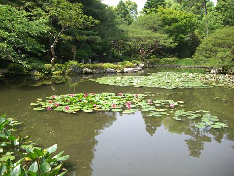 池.JPG 池.JPG