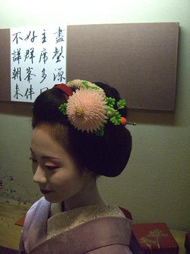 maiko2.JPG maiko2.JPG