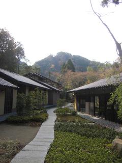 niwa.JPG niwa.JPG