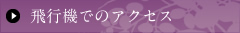 飛行機でのアクセス
